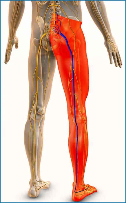 Pinched Nerve Symptoms